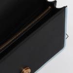 Pinko love Shoulder/ Crossbody bag